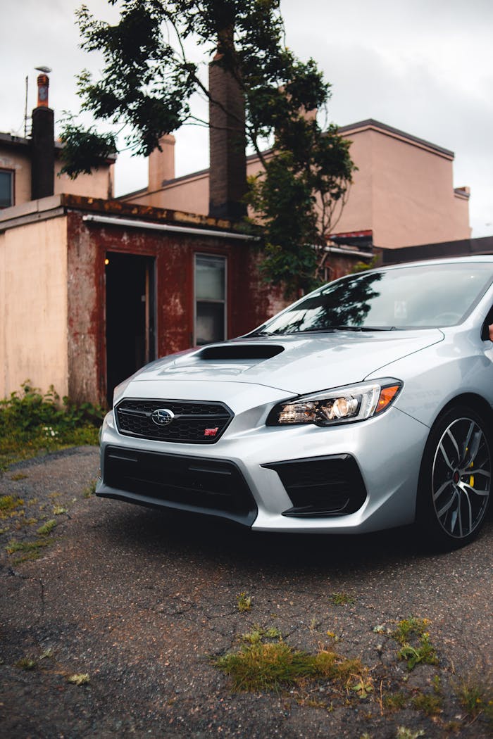 pexels photo 12920623.jpeg